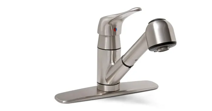 Premier 120161LF Sonoma Kitchen Faucet