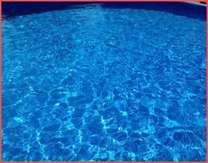 Best Salt Water Chlorinators 