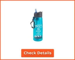 LifeStraw Go