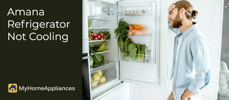 Amana-Refrigerator-Not-Cooling Amana Refrigerator Not Cooling