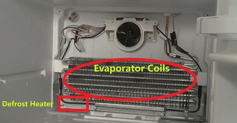 Defrost Heater and Evaporator Coils Defrost Heater and Evaporator Coils